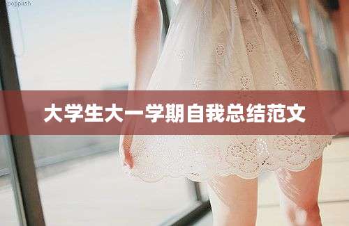 大学生大一学期自我总结范文