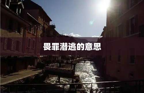 畏罪潜逃的意思