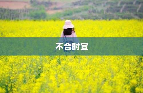 不合时宜
