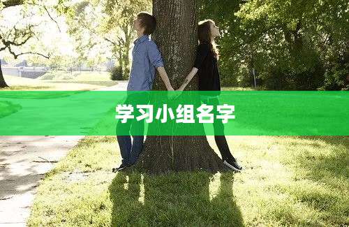 学习小组名字