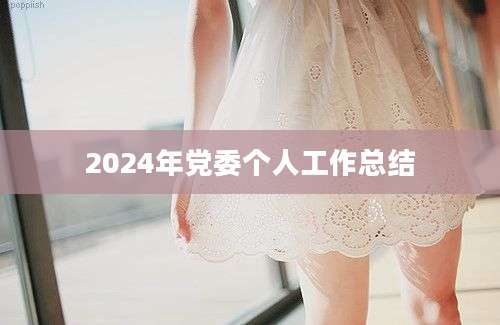 2024年党委个人工作总结