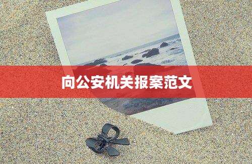 向公安机关报案范文
