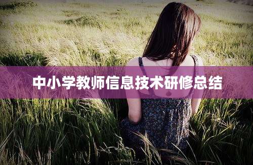 中小学教师信息技术研修总结