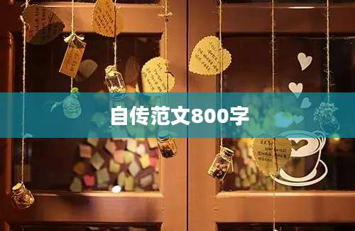 自传范文800字