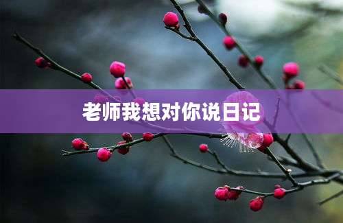 老师我想对你说日记