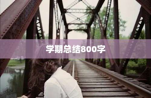 学期总结800字