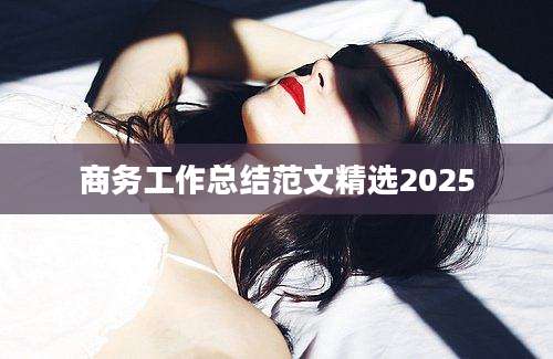 商务工作总结范文精选2025