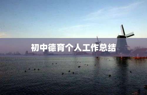 初中德育个人工作总结