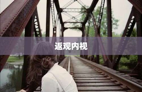 返观内视