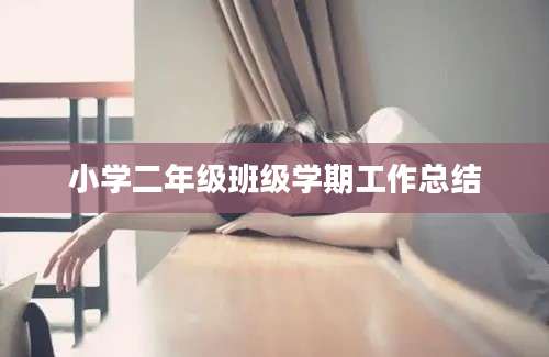 小学二年级班级学期工作总结