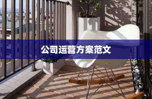 公司运营方案范文