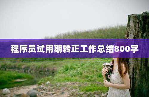 程序员试用期转正工作总结800字