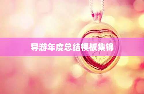 导游年度总结模板集锦