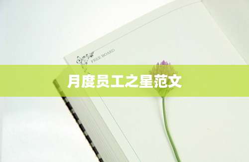 月度员工之星范文