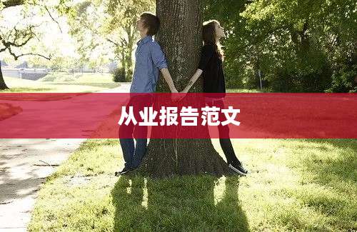 从业报告范文