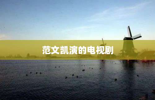 范文凯演的电视剧