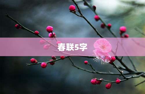 春联5字