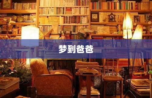梦到爸爸