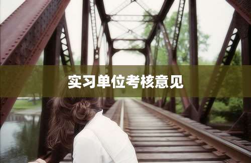 实习单位考核意见