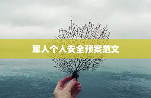 军人个人安全预案范文