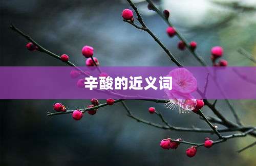 辛酸的近义词