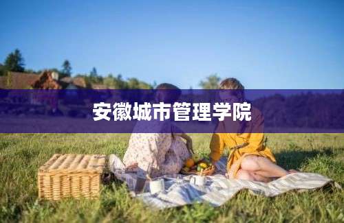 安徽城市管理学院