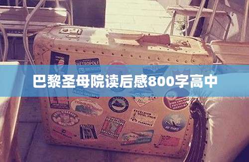 巴黎圣母院读后感800字高中