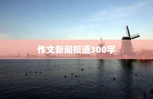 作文新闻报道300字