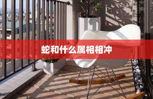 蛇和什么属相相冲