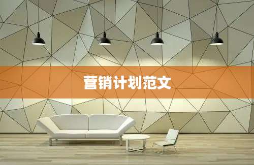 营销计划范文