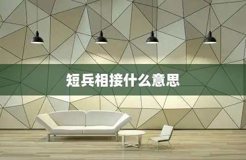 短兵相接什么意思