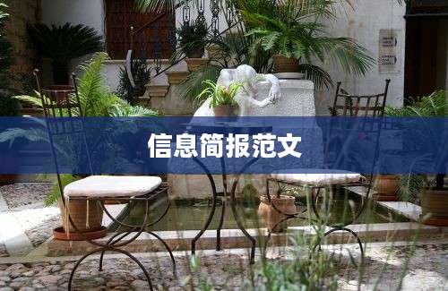 信息简报范文
