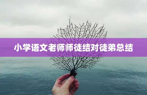 小学语文老师师徒结对徒弟总结