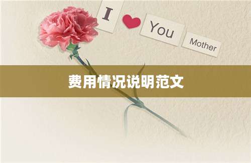 费用情况说明范文