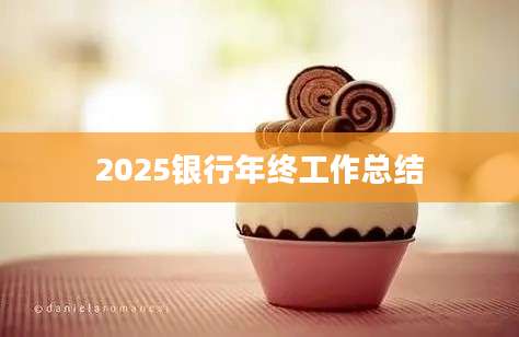 2025银行年终工作总结