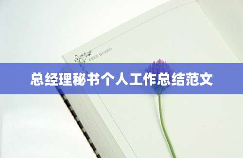 总经理秘书个人工作总结范文