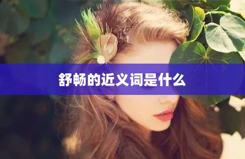舒畅的近义词是什么