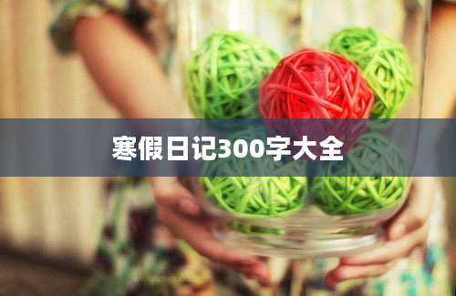 寒假日记300字大全