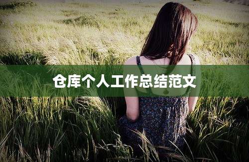仓库个人工作总结范文