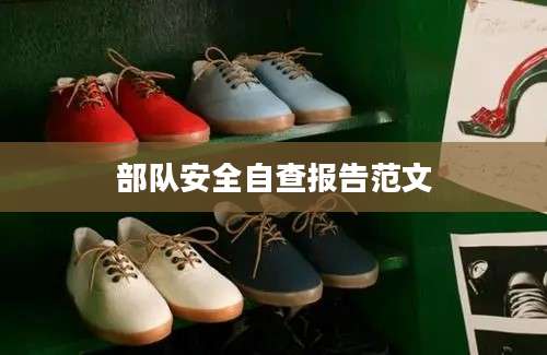 部队安全自查报告范文
