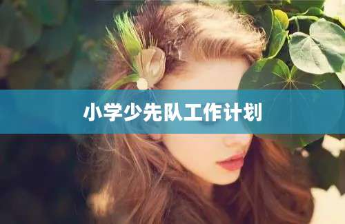 小学少先队工作计划