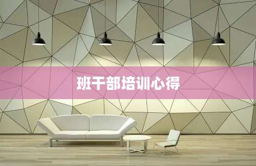 班干部培训心得