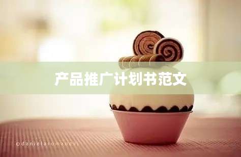 产品推广计划书范文