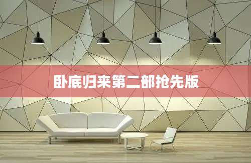 卧底归来第二部抢先版