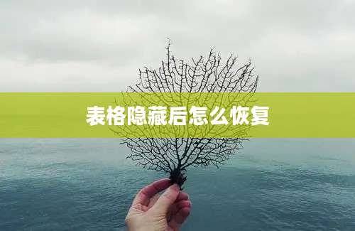 表格隐藏后怎么恢复