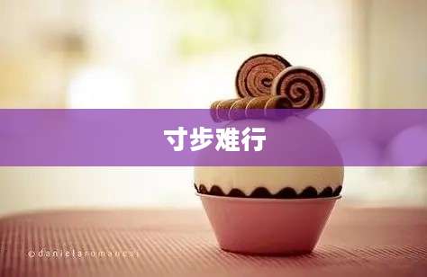 寸步难行