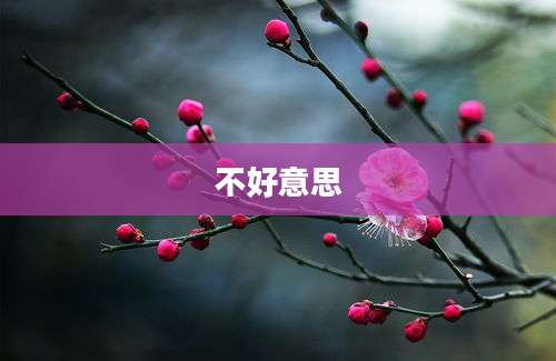不好意思