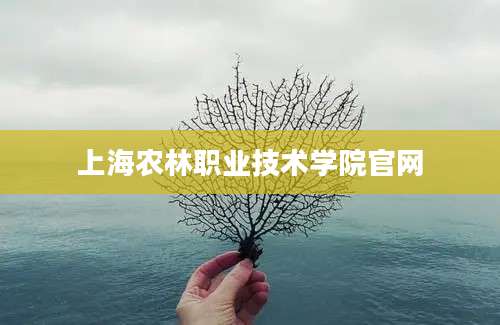 上海农林职业技术学院官网