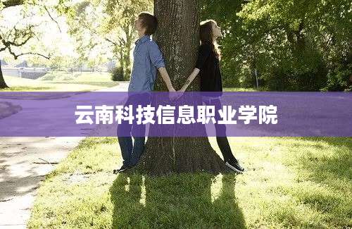云南科技信息职业学院