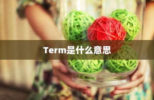 Term是什么意思